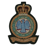 RAF Flying Training Command Wire Blazer badge